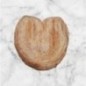 Palmier