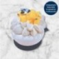 Pavlova mangue passion